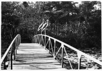 La rivière de Saigon